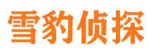 榆阳市私家侦探